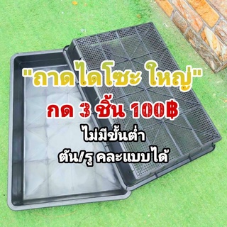 ถาดไดโซะ ใหญ่ // กด 3 ใบ 100฿ -- ถาดไดโซะ ทึบ ตัน ถาดมีรู ถาดเพาะ ต้นอ่อน แคคตัส กระบองเพชร