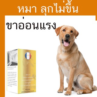 Calflex สุนัข pantip calflex pantip CalFlex pantip ยา Antinol สุนัข ราคา ยาบํารุงข้อสุนัข ยี่ห้อไหนดี ยาบํารุงข้อสุนัข r
