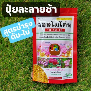 ออสโมโค้ท 13-13-13 ( 100 กรัม )