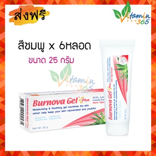 แท้100% (แพค6หลอด) Burnova Gel Plus เบอร์นโนว่า เจล พลัส เจลว่านหางจระเข้ สูตรใหม่ SNOW ALGAE 25g