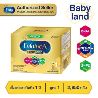 แหล่งขายและราคา{อ่านรายละเอียดก่อนสั่งซื้อ}โฉมใหม่!! EnfalacA+1 Mind Pro ขนาด 2850g.( ถุงละ475 กรัม จำนวน 6 ถุง )อาจถูกใจคุณ