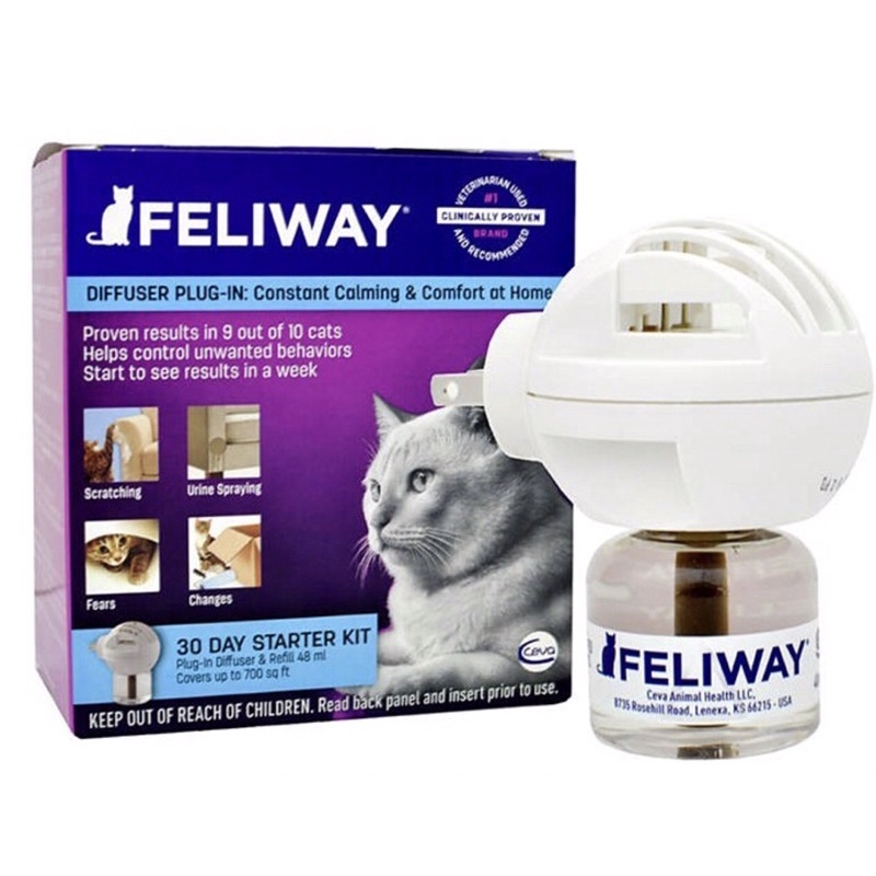 รูปภาพ 3