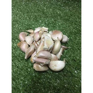 กระเทียมสดหัว/ปอก/กลีบ 🧄 - กระเทียมนอก กะเทียม ผักผลไม้สด