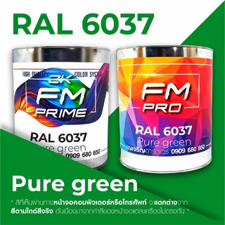 สี RAL 6037 Pure green