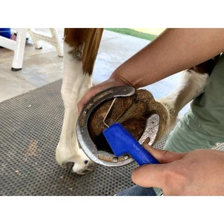 ที่แคะกีบ-หัวม้า Hoof pick with horse head handle