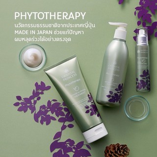 แท้🌿แก้ผมร่วงง่าย ผมบาง🌿Phytotherapy Intense Nutrition Shampoo Enriched Formula