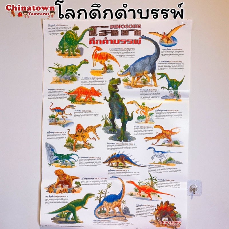 โลกดึกดำบรรพ์ โปสเตอร์กระดาษ 53*77cm (21*30 นิ้ว) วิทยาศาสตร์ เรียนหมอ พันธุกรรม Anatomy ไดโนเสาร์ สัตว์โลกล้านปี