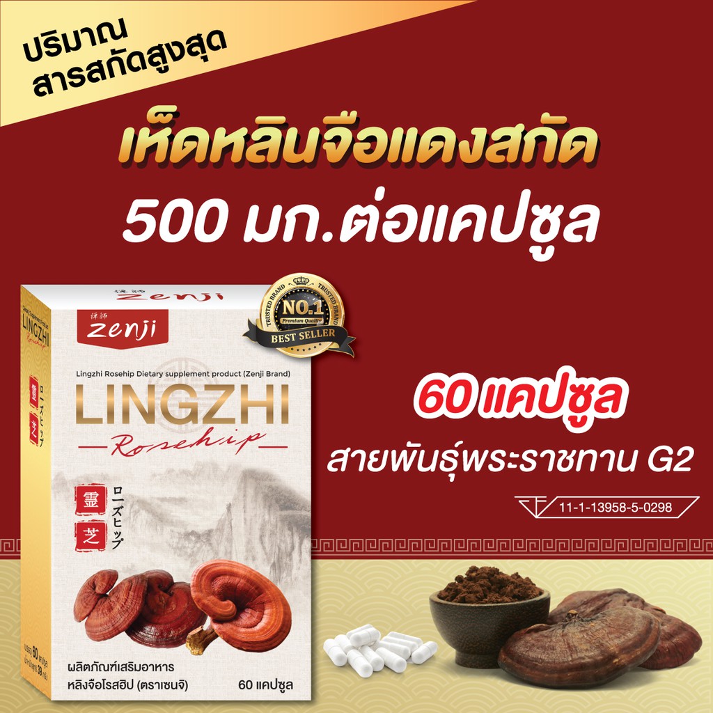 เห็ดหลินจือแดง สกัด 500 มก. x 60 แคปซูล สารสกัดสูงสุด เข็มข้นกว่า 3-5 เท่า