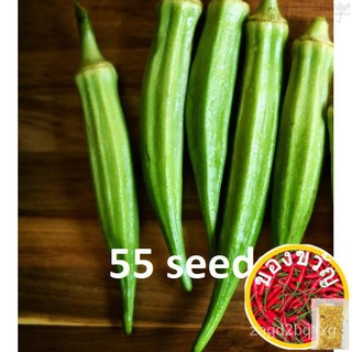 okra / Ladys Fingers seeds - P20 per pack - condor seeds - plant seed - vegetable seeds - Okra CAMILING SMOOTH文胸/向日葵/手链