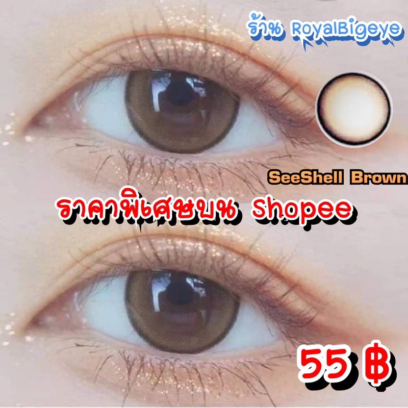 คอนแทคเลนส์ SeeShell Brown สีน้ำตาลขนาดตาโต มีสายตาถึง -7.00 ราคา ถูกที่สุด ดีลบีเคเค แกลเลอรีภาพที่ 2