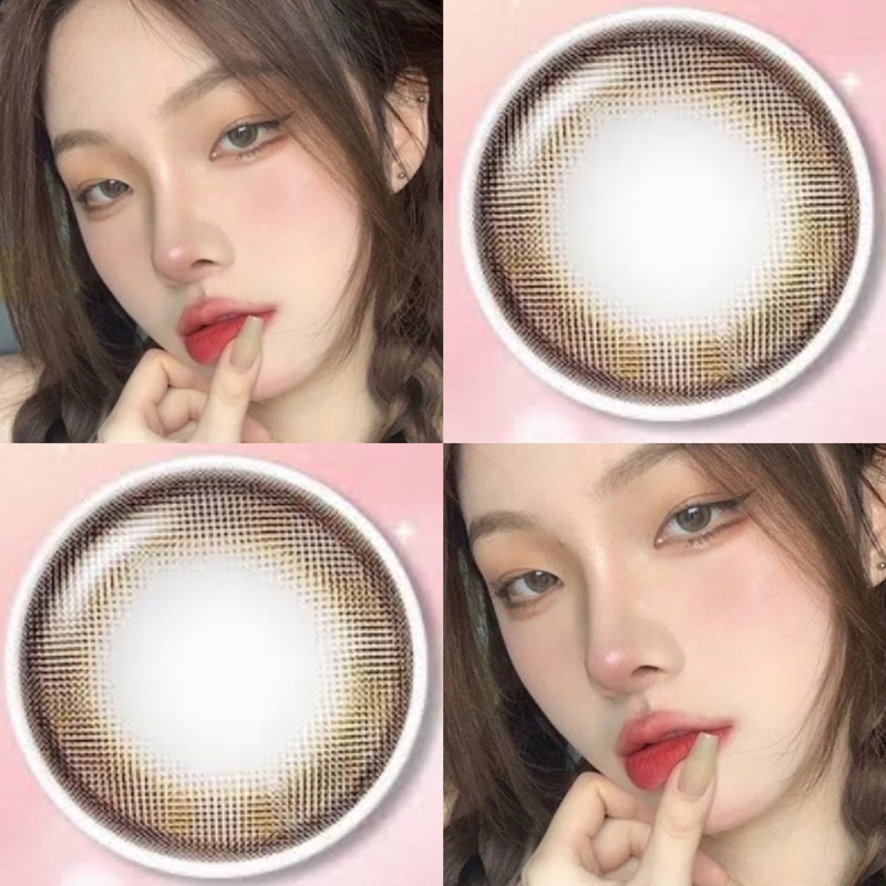 คอนแทคเลนส์🌈Rnp🌈 Chestnut / Gray (Wink) ขนาดมินิ 💖
