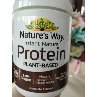 โปรตีนพลังงานและการฟื้นฟูกล้ามเนื้อ Nature's Way Chocolate Protein Powder 375g