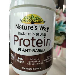 โปรตีนพลังงานและการฟื้นฟูกล้ามเนื้อ Natures Way Chocolate Protein Powder 375g