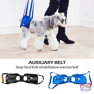 ที่พยุงตัวสุนัข 2ขนาด DOG LIFT HARNESS สีฟ้า S และM แบบพยุงเอว และขาหลัง สายจูงยาวปรับได้