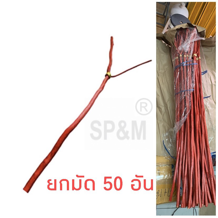 My Image 3