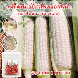 เมล็ดพันธุ์ ข้าวโพดหวาน ฮอกไกโด ทานดิบได้ ทานสดได้ จำนวน 40 เมล็ด