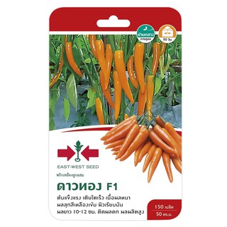 พริกเหลือง F1 ดาวทอง ศรแดง YELLOW PEPPER SEED EAST-WEST SEED DAWTHONG F1