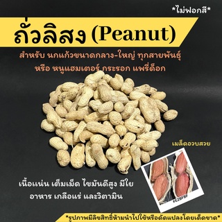 พร้อมส่ง!!ถั่วลิสง (peanut)เกรดAสวยมทก*แบ่งขายสำหรับนกและสัตว์ฟันแทะทุกชนิด กากใยและโปรตีนสูง