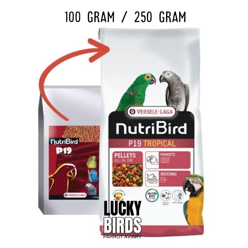 Nutribird P19(โฉมใหม่) อาหารนก อาหารนกแก้ว สำหรับนกขนาดกลางถึงขนาดใหญ่ ขนาด100กรัม และ 250กรัม
