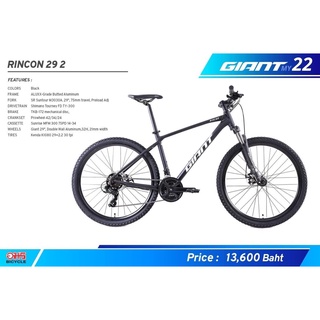 เสือภูเขา giant rincon 2022