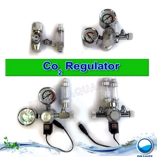 WYIN Co2 Regulator หัวเรกกุเรเตอร์ (GCA320) เกลีบวไทย