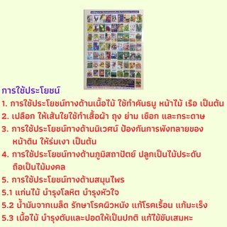 หนังสือเกษตร กฤษณา ไม้หอมหมื่นล้าน : ไม้กฤษณา, พันธุ์ไม้กฤษณา, การปลูกและขยายพันธุ์ไม้กฤษณา, การขยายพันธุ์