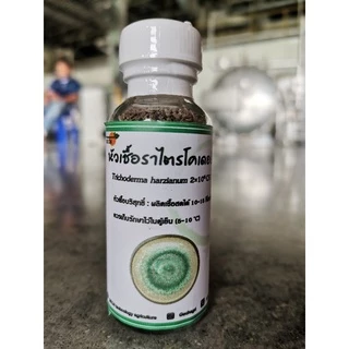 หัวเชื้อไตรโคเดอร์มา ไตรโคเดอร์ม่า​ ราเขียว​ รักษาโรค​พืช​