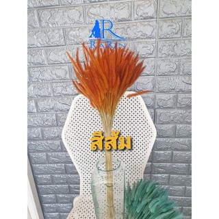 Rarin ดอกหญ้าหางกระรอก ช่อเล็ก (สี ส้ม) เป็นดอกไม้ธรรมชาติ ย้อมสี แต่งร้าน พร๊อพถ่ายรูป DIY