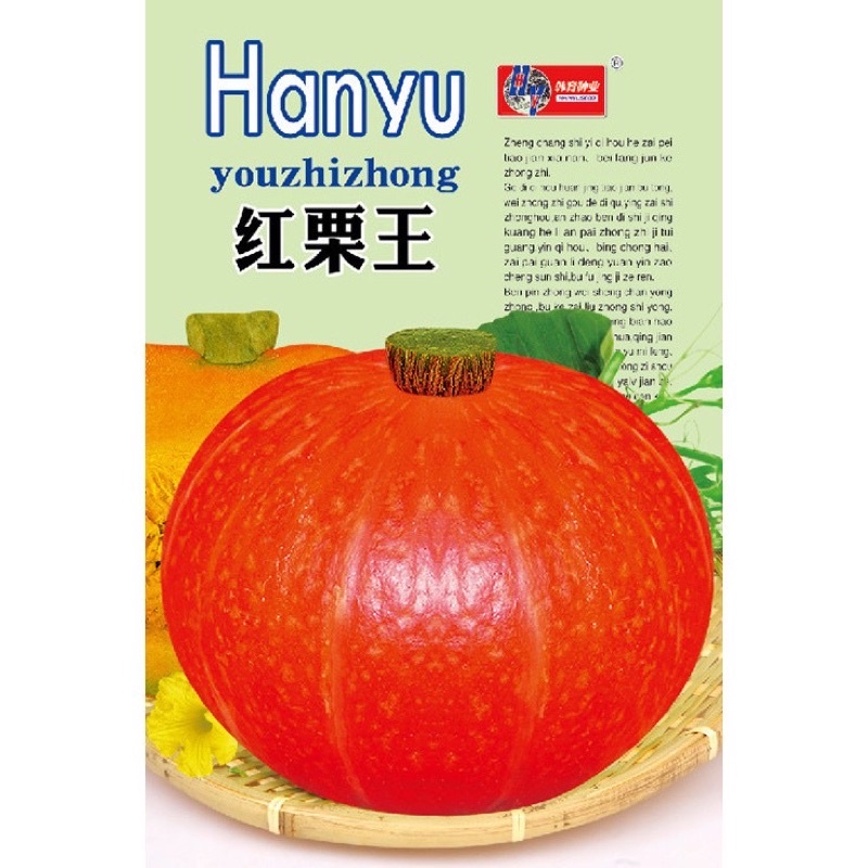 เมล็ด ฟักทองญี่ปุ่น ผิวส้ม 25 เมล็ด Orange Japanese Pumpkin สายพันธุ์ OP