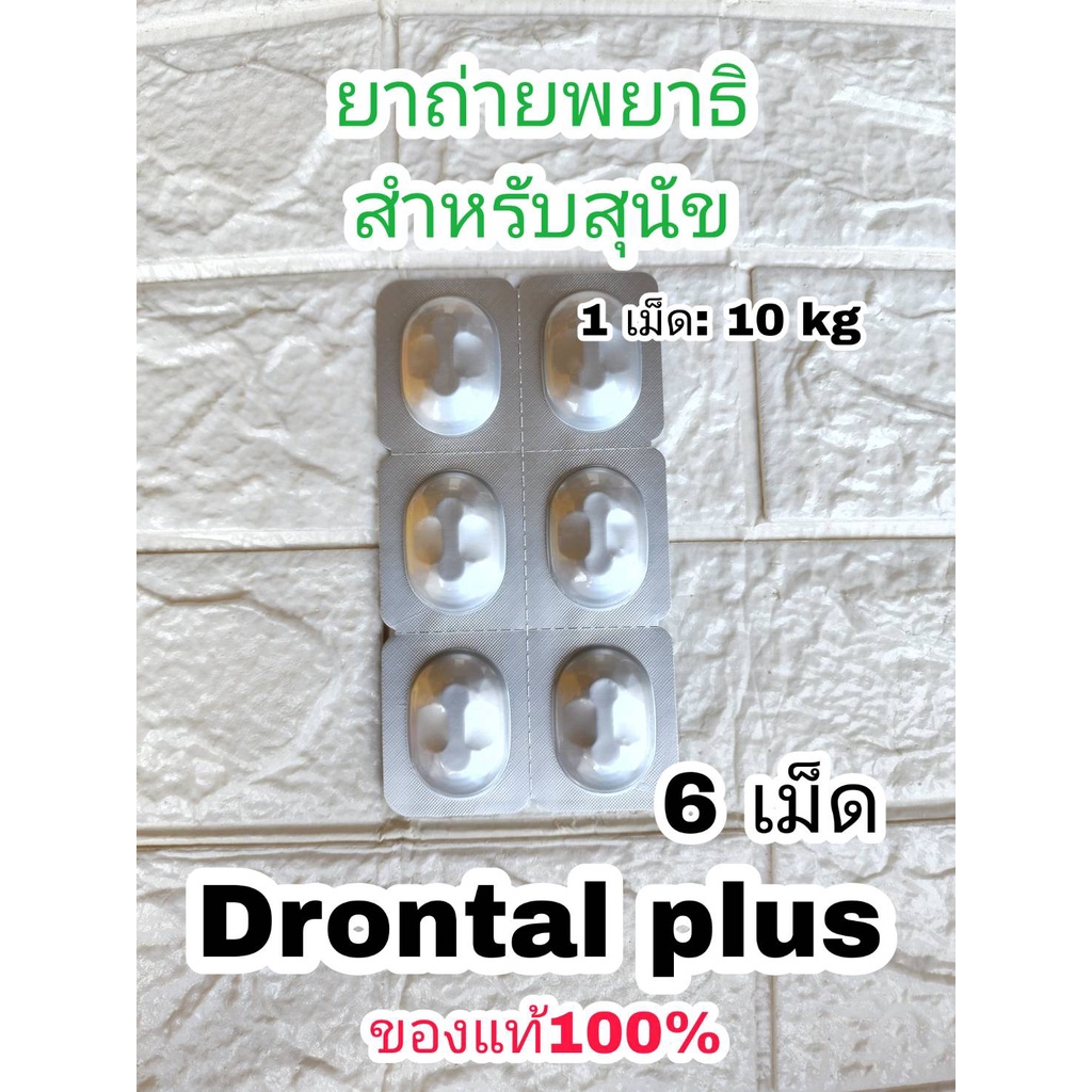 (6 เม็ด) ดรอนทัล พลัส Drontal Plus Dog พยาธิสำหรับสุนัข (ไม่มีกล่อง ...