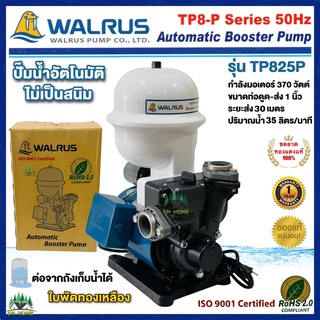 ปั้มน้ำอัตโนมัติ ปั๊มน้ำออโต้ Automatic Booster Pump 370W ยี่ห้อWALRUS รุ่นTP825P ปั๊มบ้าน ปั๊มน้ำไม่เป็นสนิม