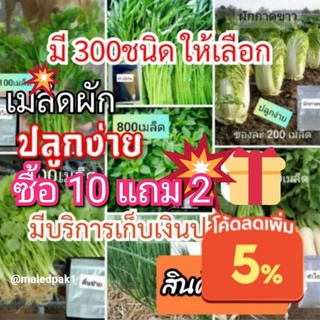 เมล็ดผัก ปลูกง่ายโตไว ราคาถูก เมล็ดผัก คุณภาพ เมล็ดพันธุ์ผัก