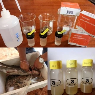 ชุดทดสอบฟอร์มาลีน (น้ำยาดองศพ) ในอาหาร 1 Test (ตรวจฟอร์มาลินในอาหาร/หมูแช่ฟอร์มาลีน/Formalin)