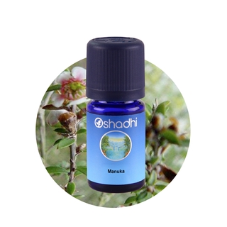 Oshadhi Manuka Essential Oil น้ำมันหอมระเหย (5 ml)