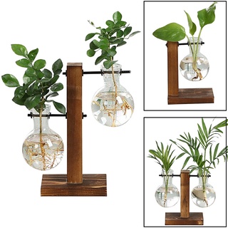 Terrarium Hydroponic Plant แจกันดอกไม้วินเทจหม้อโปร่งใสแจกันไม้กรอบกระจกโต๊ะพืชบ้าน Bonsai Decor