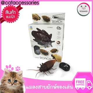 GIANT ROACH แมลงสาบยักษ์ บังคับด้วยรีโมท เป็นของเล่นแมวหรือของเล่นเด็ก  แถมฟรีถ่านกระดุมพร้อมเล่น