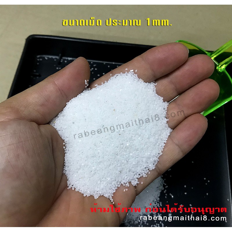 ใหม่สุด ล้างแล้ว ร่อนฝุ่น กรวดแก้ว สีขาว ทรายแก้วสีขาว ทรายขาว 1 มม. ตกแต่งกระถาง จัดสวนทราย สวนถาด