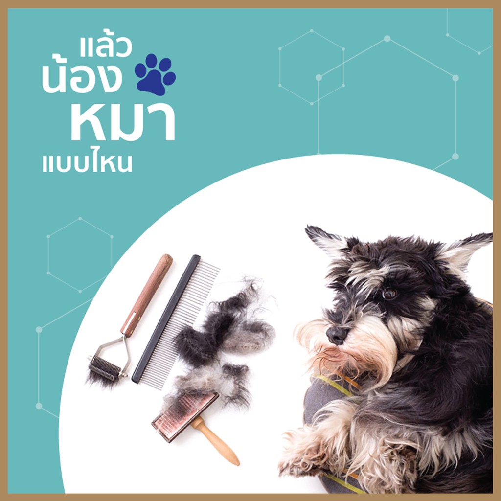 อาหารเสริมลดขนร่วงและบำรุงขนสำหรับสัตว์เลี้ยง Petitrend (เห็นผลภายใน30วัน) อาหารเสริมสุนัข - รูปที่ 2