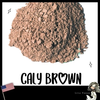 Pigment สีน้ำตาล 🇺🇸Caly Brown🇺🇸 *Non-Toxic* - สำหรับทำสีน้ำ สีน้ำมัน