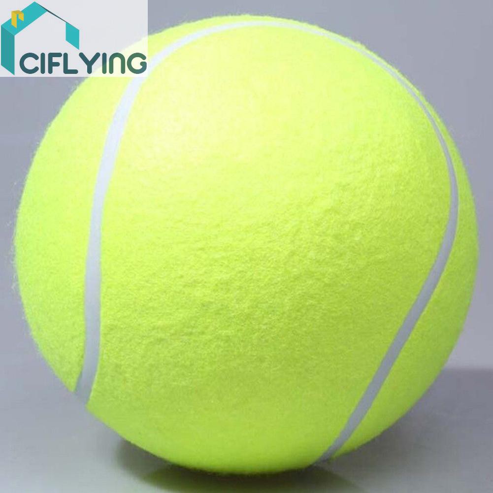 ciflying 9.5' Big Giant Pet Dog Puppy Tennis Ball Thrower Chucker Launcher Play Toy - รูปที่ 6