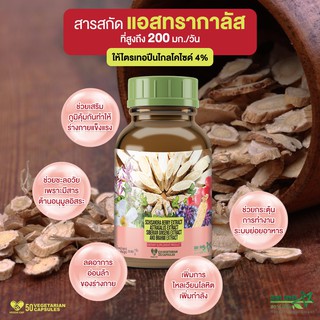 Star Herb ผลิตภัณฑ์เสริมอาหาร สารสกัดแอสทรากาลัส แก้หวัด แก้ภูมิแพ้ แก้อาการปวดเมื่อยตามร่างกาย