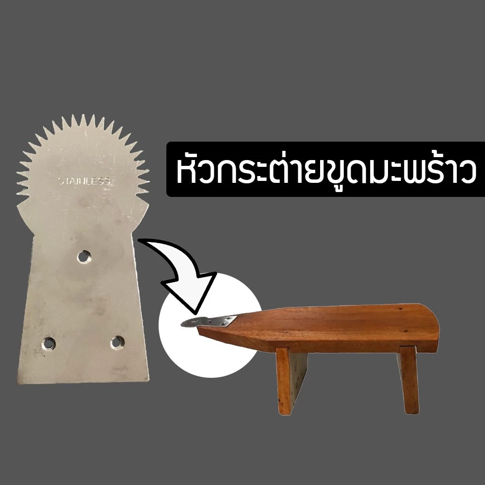 พร้อมส่ง กระต่ายขูดมะพร้าว สเตนเลสแท้ TJRTj565