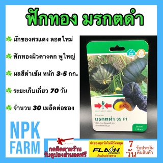 ผักซอง ศรแดง ฟักทอง มรกตดำ จำนวน 30 เมล็ด/ซอง เมล็ดพันธุ์ ลอตใหม่ ปลูกง่าย ผิวคางคก ผลสีเขียวดำเข้ม ผลหนัก 3 - 5 กก.