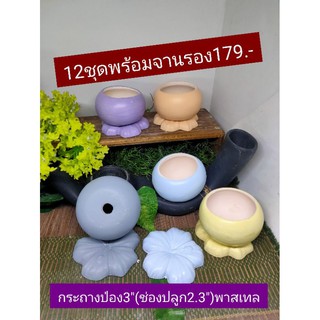 กระถางป่องน่ารัก3"(ช่องปลูก2.3")พาสเทล12ชุด
