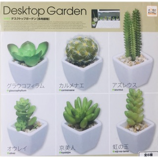 กาชาปอง Desktop Garden 🌵