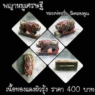 พญาหมูเศรษฐี เนื้อทองแดงผิวรุ้ง หลวงพ่อหวั่น วัดคลองคูณ จ.พิจิตร