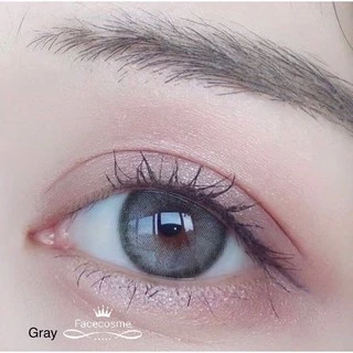 💖 Kitty kawaii ๑ mini Olivia ( Mavia ) Brown Light brown สายตา -00 ถึง -1000 Contactlens คอนแทคเลนส์