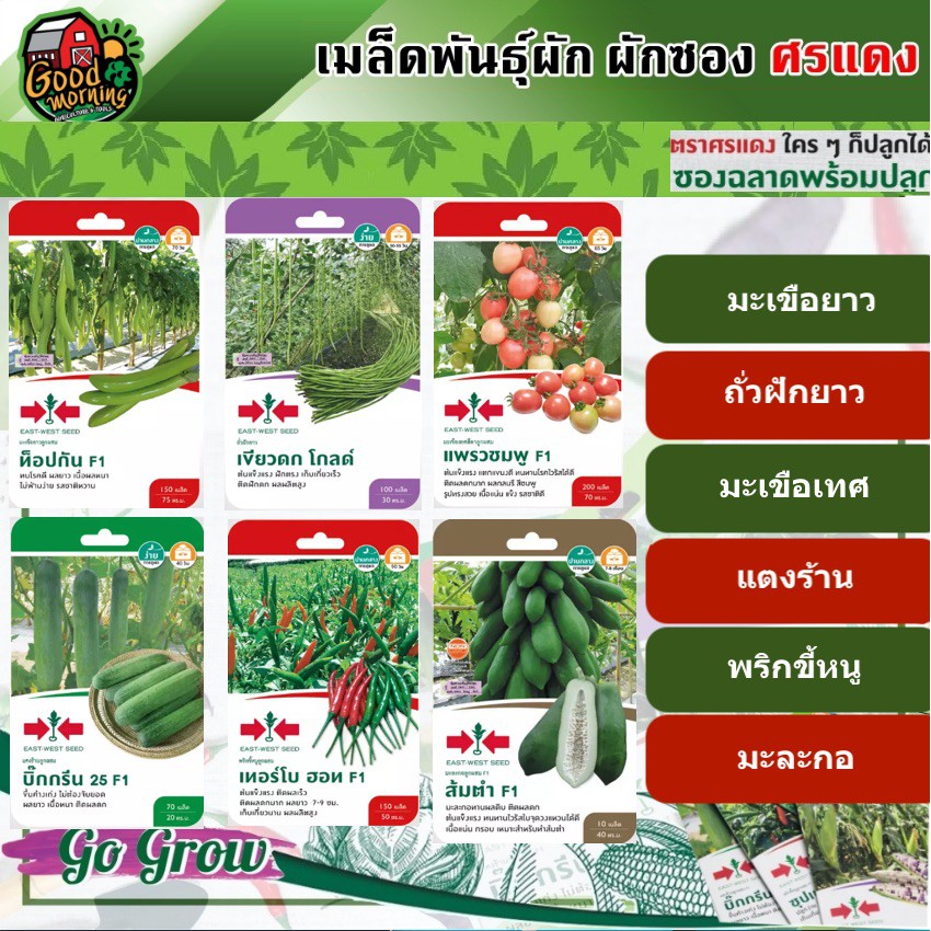 SORNDAENG ผักซอง ศรแดง เมล็ดพันธุ์ มะเขือยาว ถั่วฝักยาว มะเขือเทศสีดา แตงร้าน พริกขี้หนู มะละกอ เมล็ดพันธุ์ สวนครัว