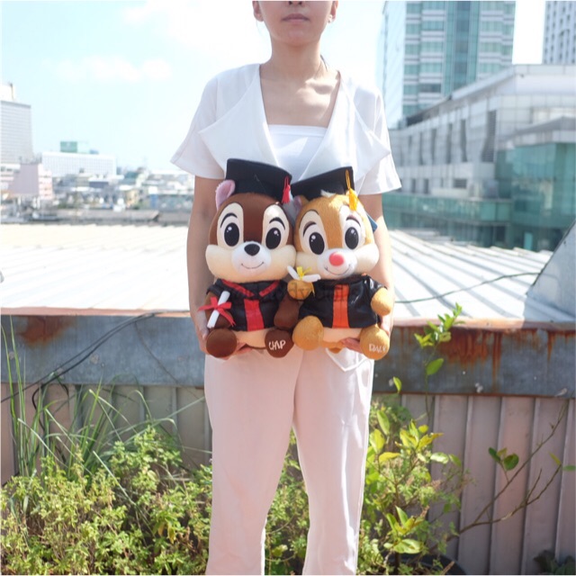 ตุ๊กตา Chip ชิพ & Dale เดล ชุดรับปริญญา 12นิ้ว