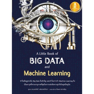 [โค้ด L3EL5 ลดเหลือ 202฿] หนังสือ A Little Book of Big Data and Machine Learning